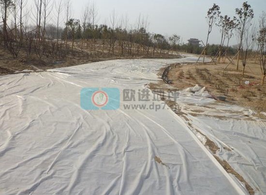 彩色生態(tài)透水混凝土地坪-歐進(jìn)建材www.xinbao288.cc